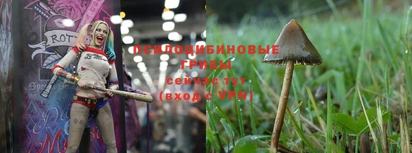 гашиш Аркадак