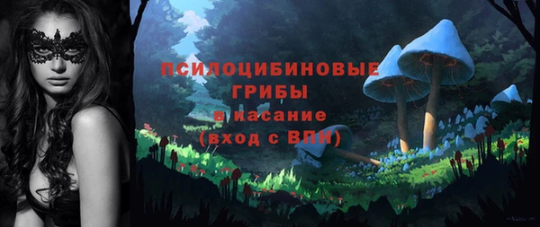 Альфа ПВП Алзамай